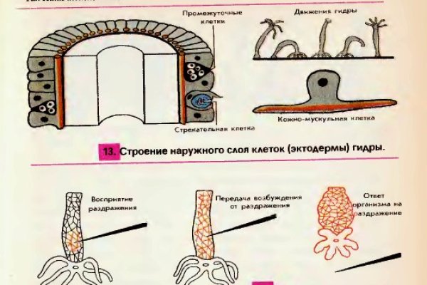 Ссылка на mega megadarknet de